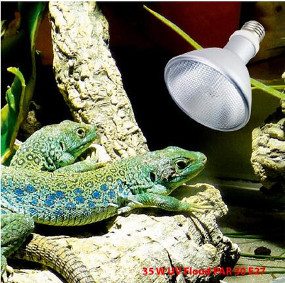 Lâmpada HID UVB de alumínio Jungle Desert Série 64/95/121mm Diâmetro 93/118/138mm Comprimento 4000k-10000k Temperatura de cor
