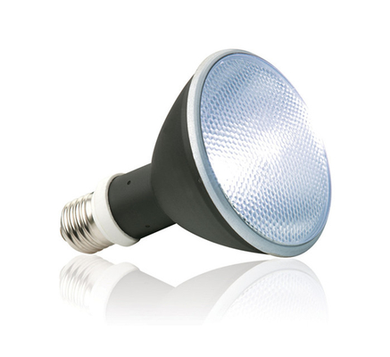 Sustentável 60w 45w 30w HID Metal Halide Balasto Para UVB Lâmpada UV de répteis